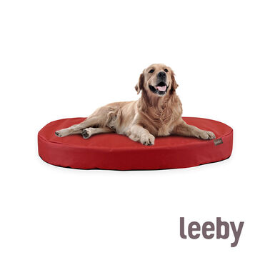 Leeby Colchão vermelho impermeável e amovível para cães